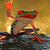play Red Frog Puzzle