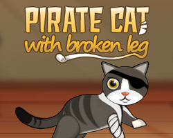 play Pirate Cat With Broken Leg