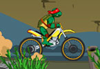 Ninja Turtle Bike