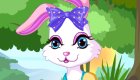 Dress Up Games : Cute Animal Game For Girls