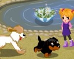 play Dogs In Zoo