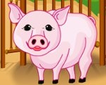 play Baby Piggy