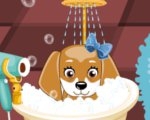 play My Cute Dog