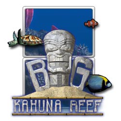 play Big Kahuna Reef