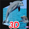 play 3D Real Puzzle Dolphin
