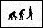play Human Evolution
