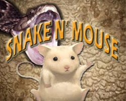 play Snake N' Mouse