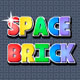 play Space Brick