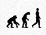 play Human Evolution