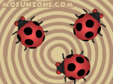play Crazy Ladybugs