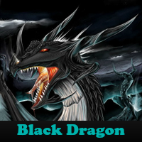 play Black Dragon 5 Differences