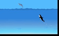 play Dolphin Hunt