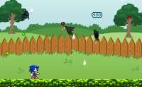 play Sonic In Garden