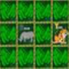 play Alpha - Zoo Concentration