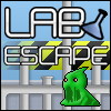 play Lab Escape
