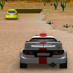 Rally Race