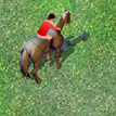 play Horse Jumping