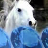play Hidden Gemstones - Horses 2