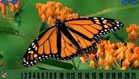 Hidden Numbers - Butterfly