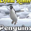 Sssg - Penguins Crystal Hunter