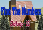 play Find The Numbers Challenge 25