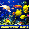 play Underwater World