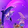 play Pink Dolphins Puzzle