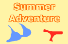 play Summer Adventure
