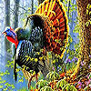 play Colorful Turkey In The Forest Puzzle