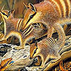 Cute Forest Animals Slide Puzzle