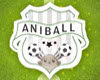 Aniball - Soccer