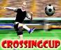 play Crossing Cup