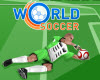 play World Cup Soccer