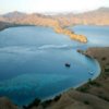 play Komodo Island Jigsaw