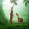 play Deers In The Forest Slide Puzzle
