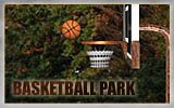 play Basketball Park