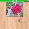 play Red Rose