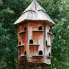 play Jigsaw: Bird House