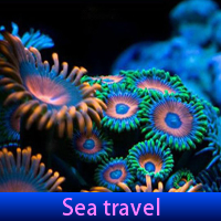 play Sea Travel. Find Objects
