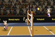 Bunnylimpics Volleyball