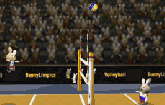 play Bunnylimpics Volleyball