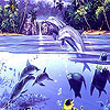 play Crazy Dolphins Puzzle