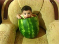 play Baby In A Watermelon Video Free Download, Online Free Funny Clips