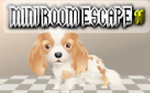 play Mini Room Escape 11