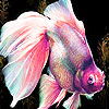 play Little Pinky Fish Slide Puzzle