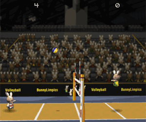 Bunnylimpics Volleyball