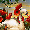 play Swan And Flowers Slide Puzzle