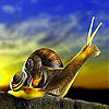 play Prying Snail Slide Puzzle
