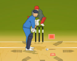 play T20 Worldcup 2012