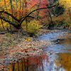 play Stream In Fall Jigsaw Puzzle